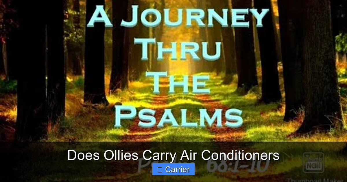 Does Ollies Carry Air Conditioners