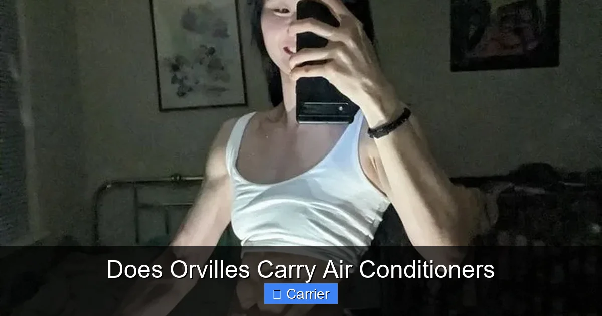 Does Orvilles Carry Air Conditioners