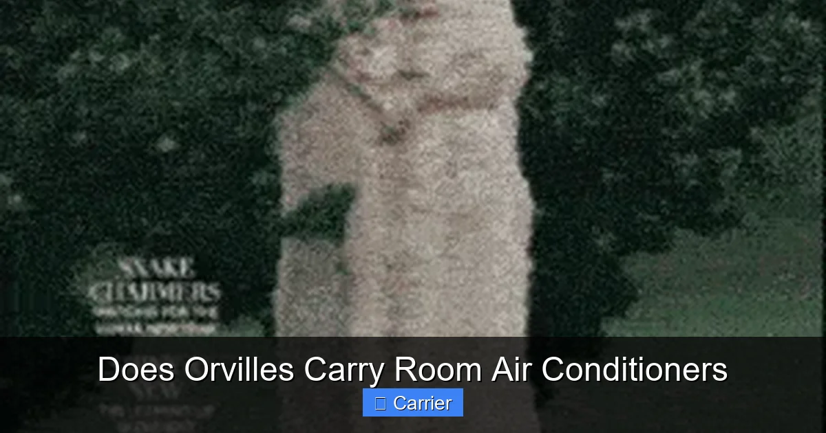 Does Orvilles Carry Room Air Conditioners