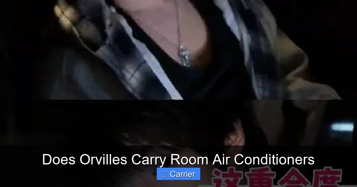Does Orvilles Carry Room Air Conditioners