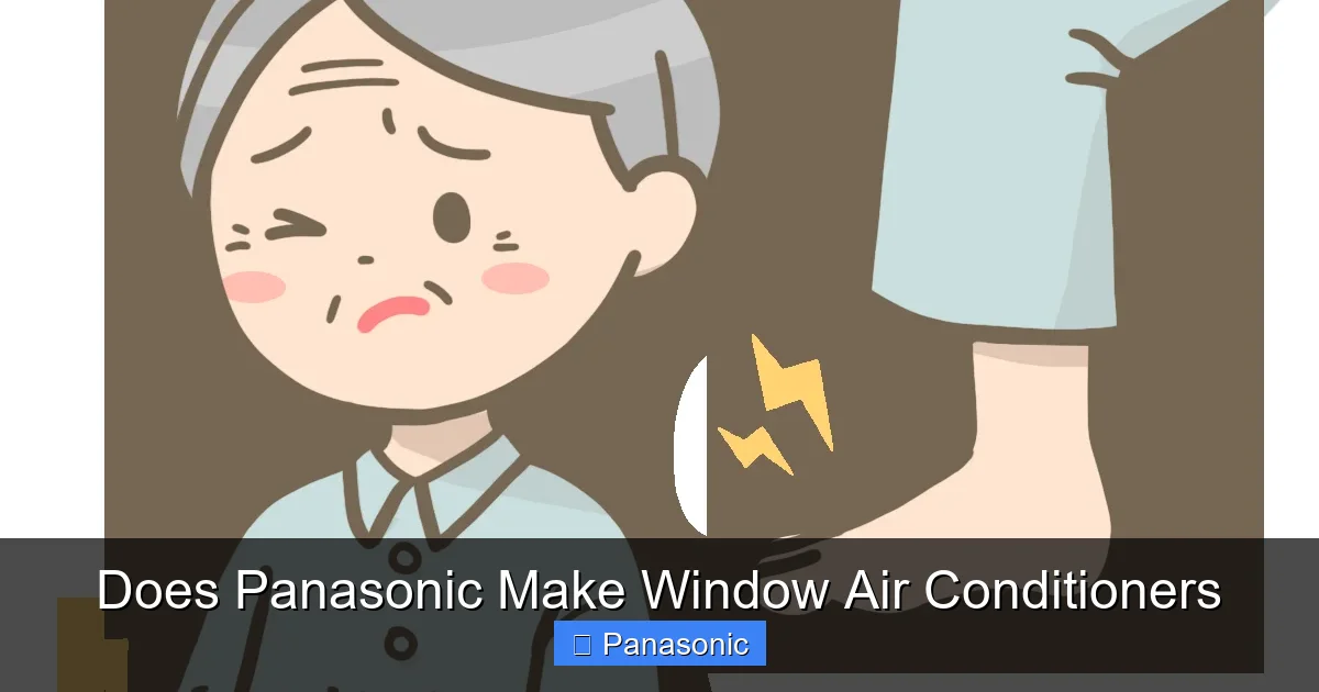 Does Panasonic Make Window Air Conditioners