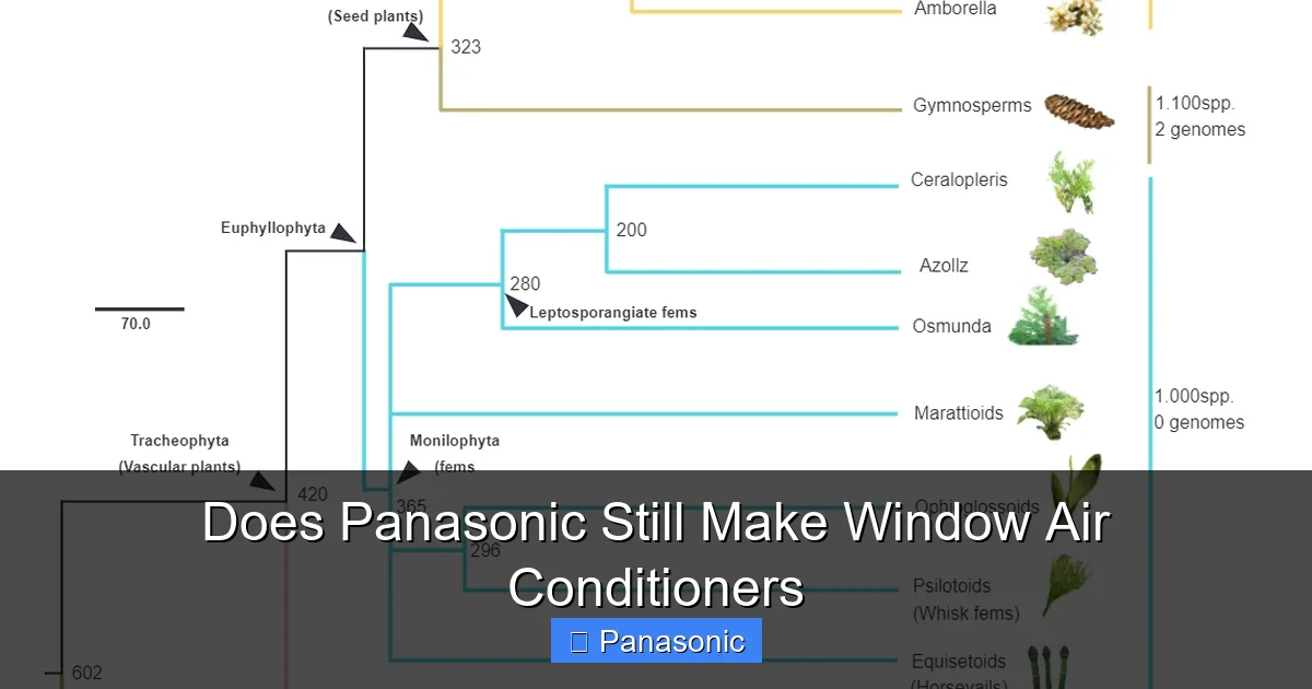 Does Panasonic Still Make Window Air Conditioners