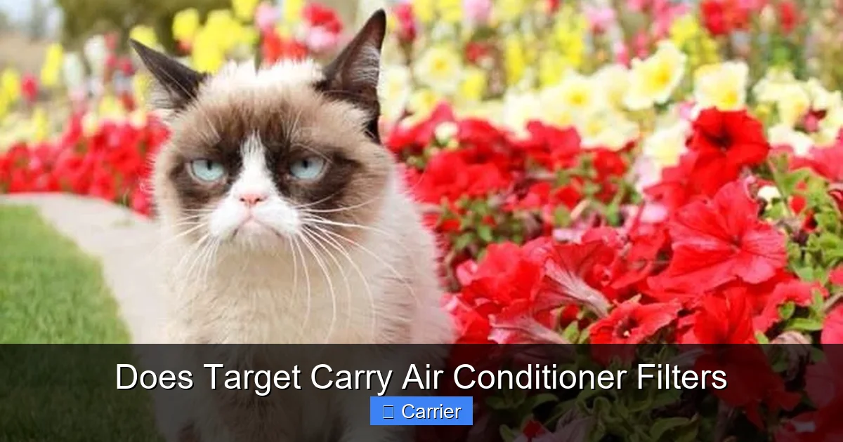 Does Target Carry Air Conditioner Filters