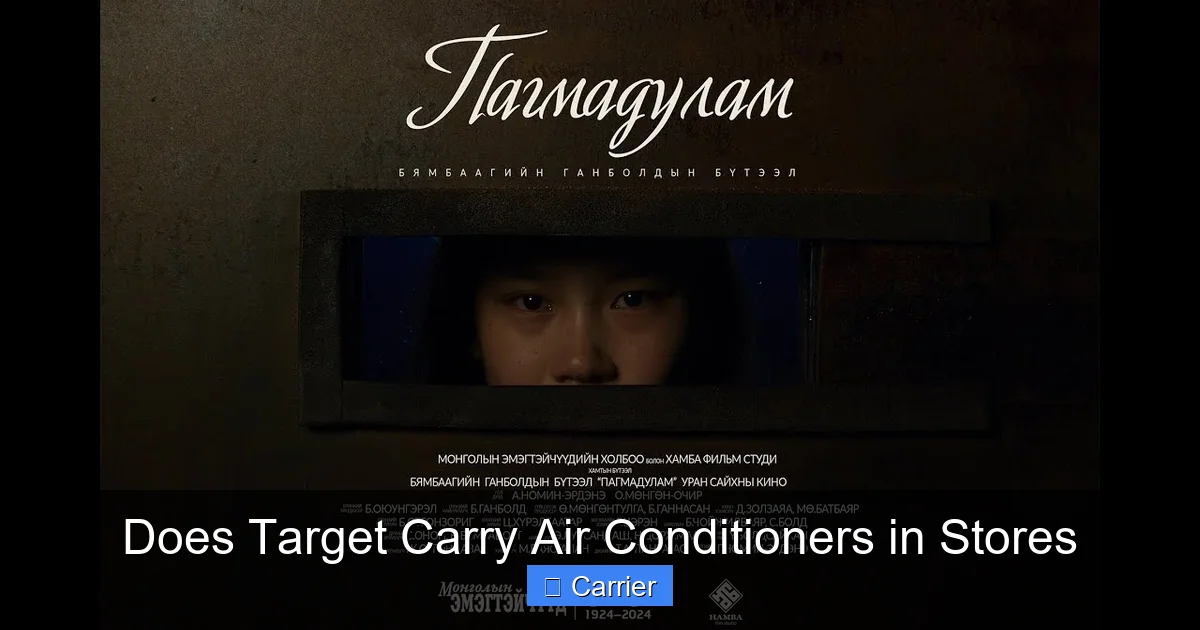 Does Target Carry Air Conditioners in Stores