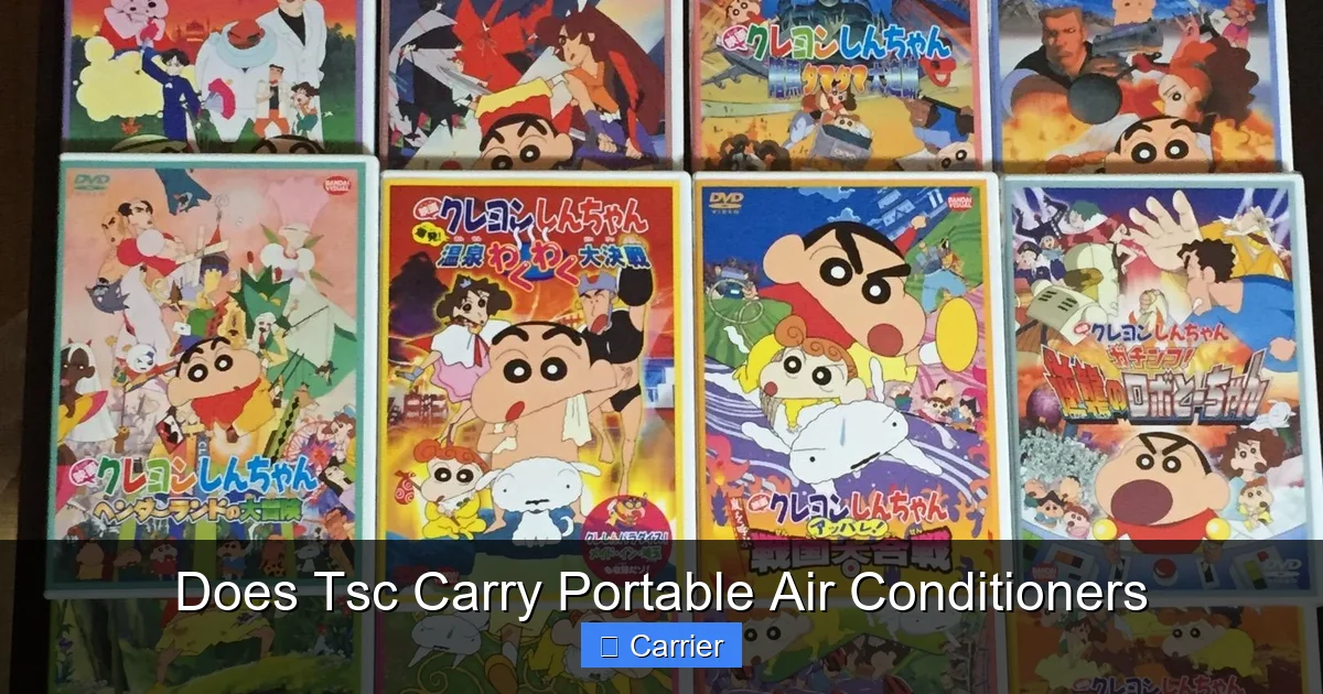 Does Tsc Carry Portable Air Conditioners
