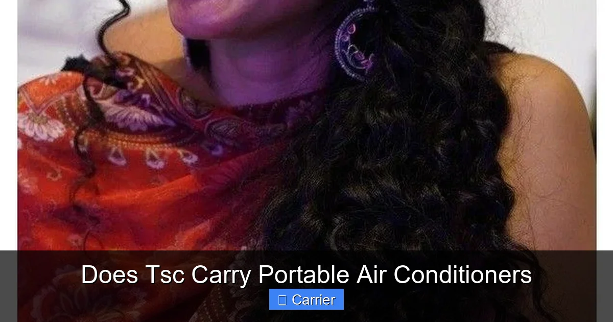 Does Tsc Carry Portable Air Conditioners