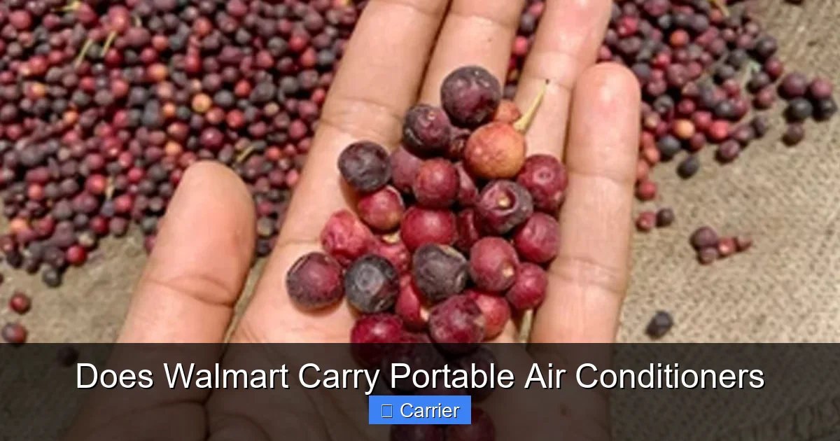 Does Walmart Carry Portable Air Conditioners