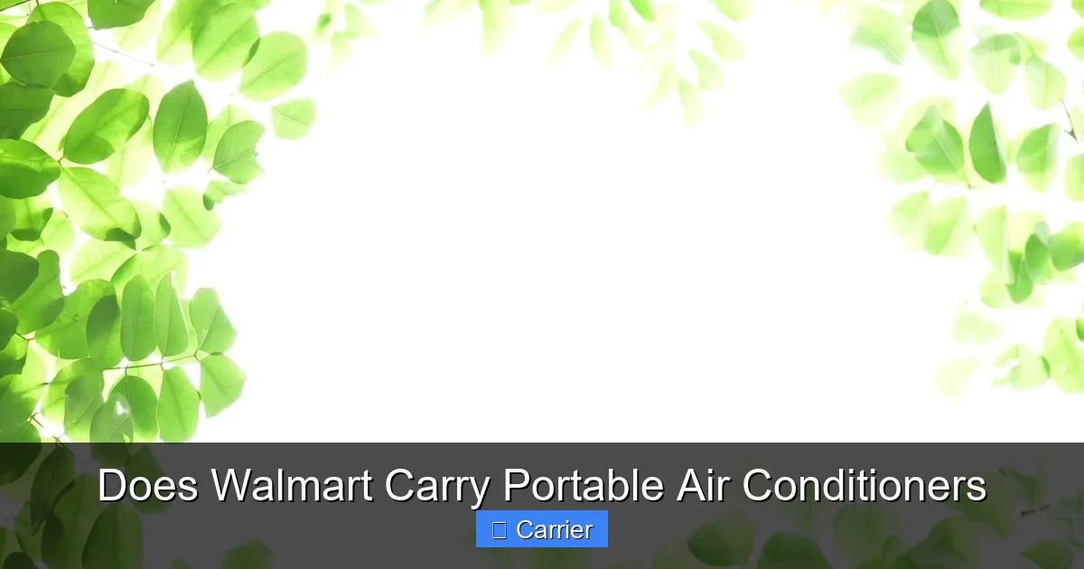 Does Walmart Carry Portable Air Conditioners