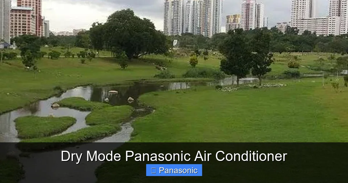 Dry Mode Panasonic Air Conditioner