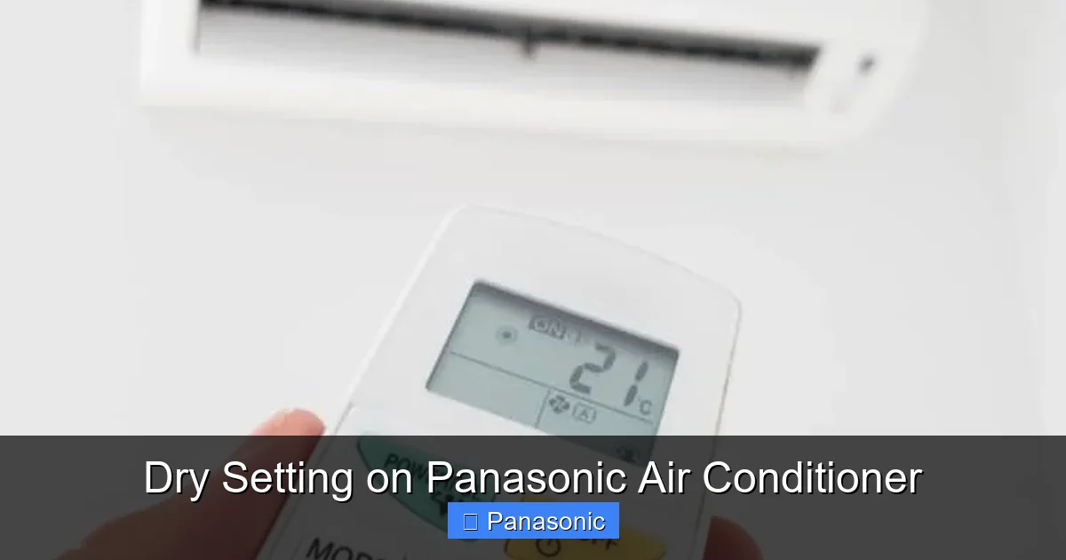 Dry Setting on Panasonic Air Conditioner