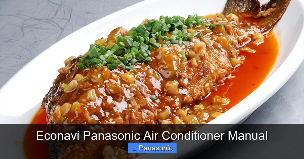 Econavi Panasonic Air Conditioner Manual