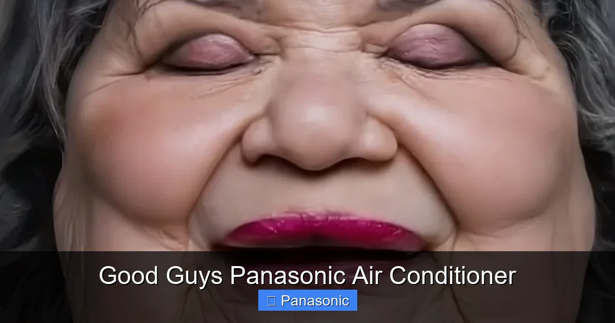 Good Guys Panasonic Air Conditioner