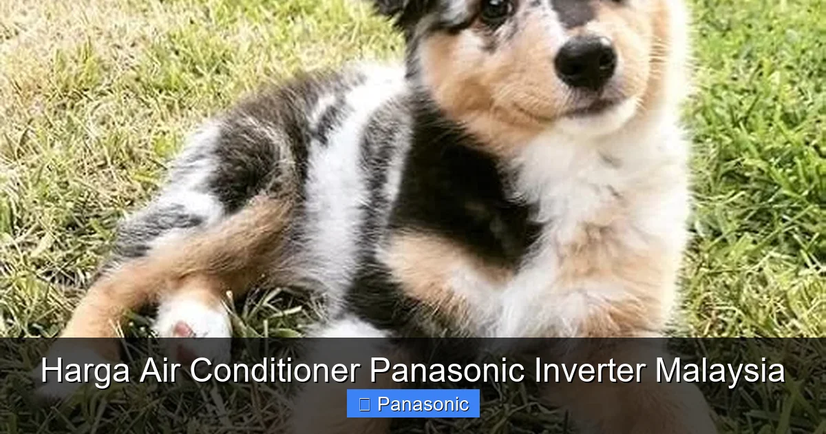 Harga Air Conditioner Panasonic Inverter Malaysia