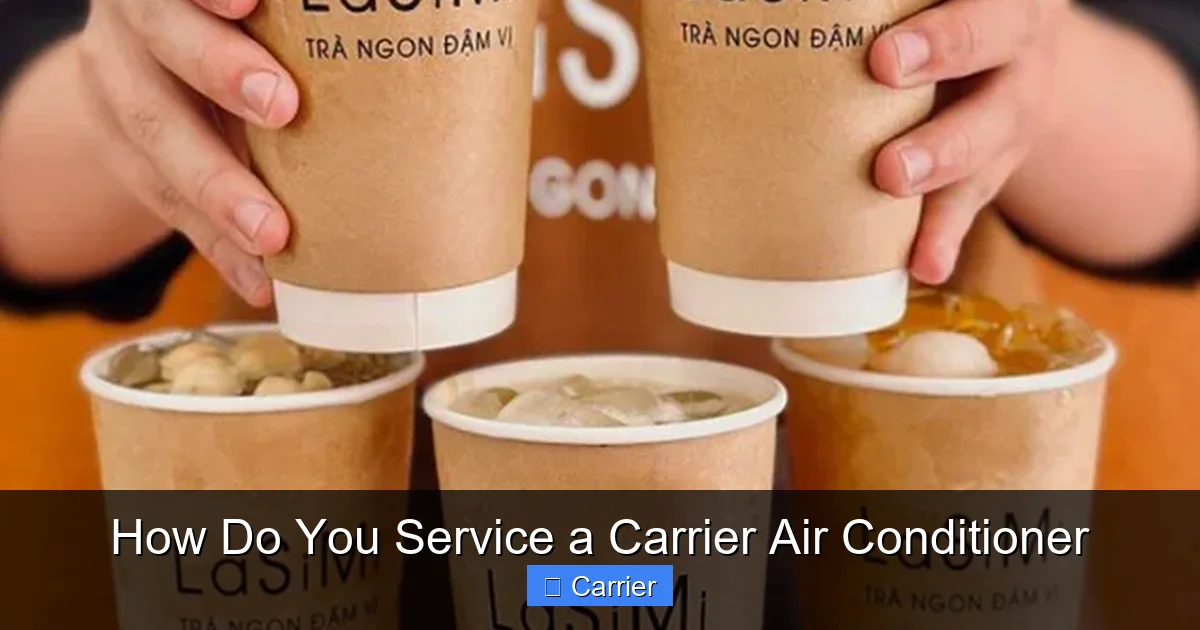 How Do You Service a Carrier Air Conditioner