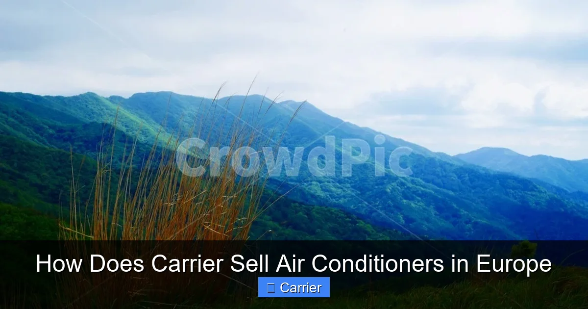 How Does Carrier Sell Air Conditioners in Europe