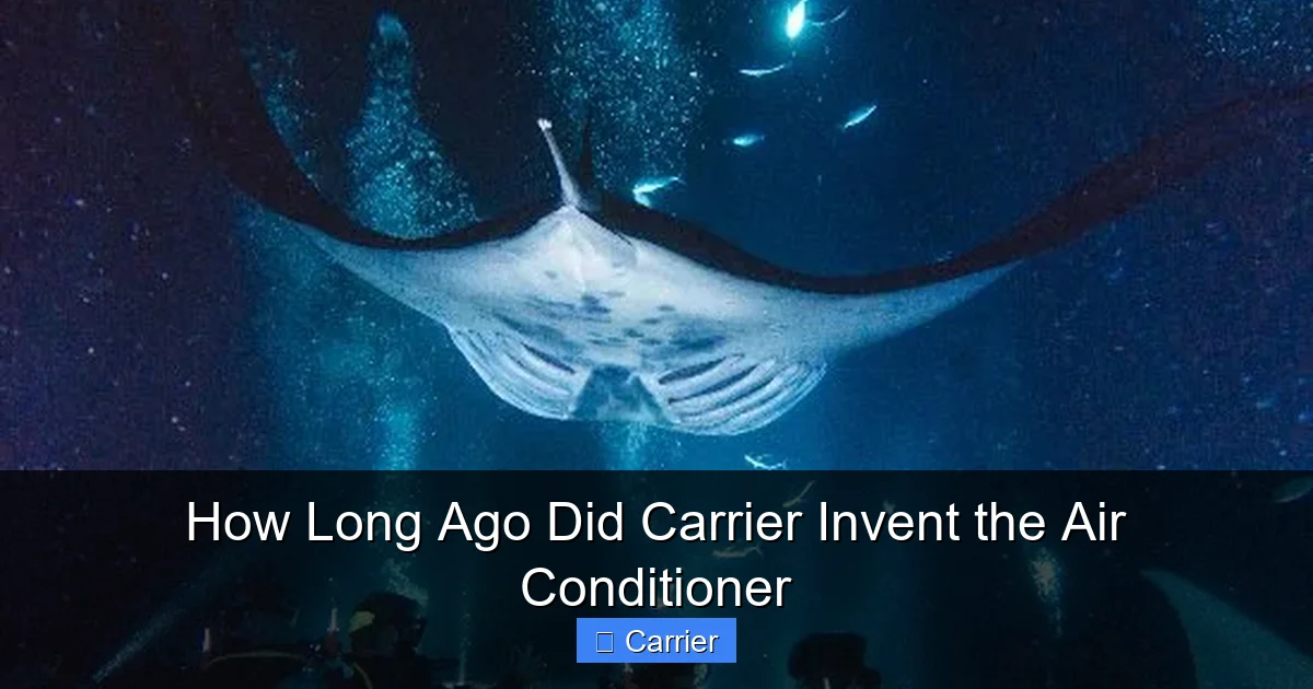 How Long Ago Did Carrier Invent the Air Conditioner