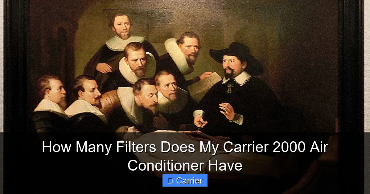 How Many Filters Does My Carrier 2000 Air Conditioner Have