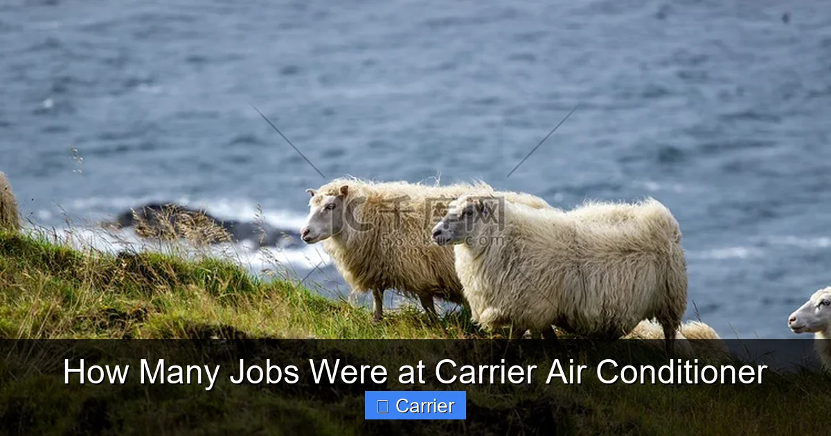 How Many Jobs Were at Carrier Air Conditioner