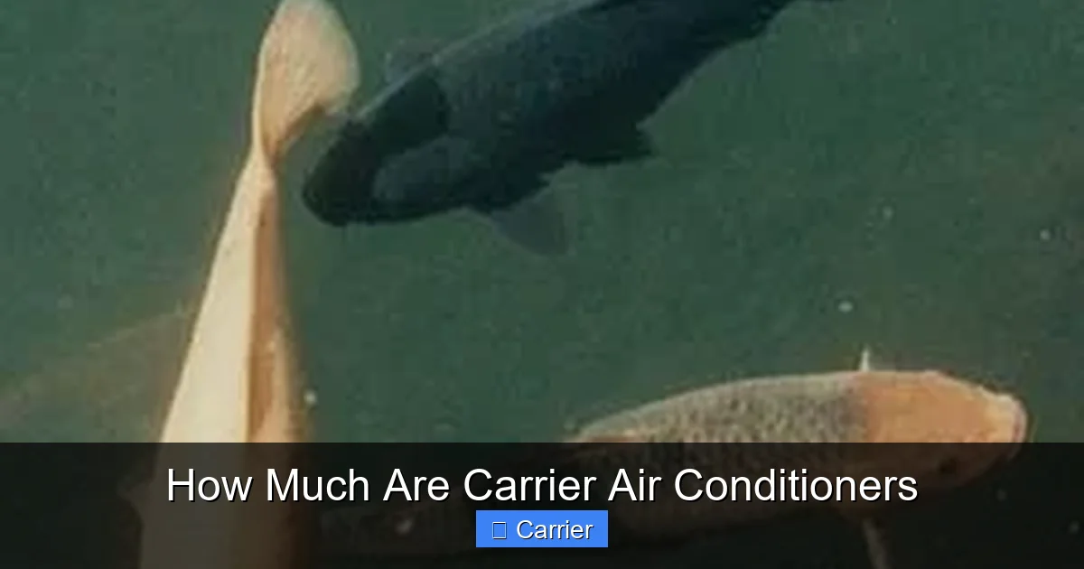 How Much Are Carrier Air Conditioners