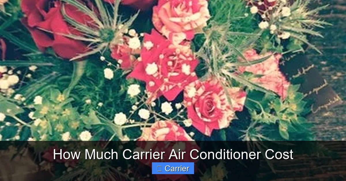 How Much Carrier Air Conditioner Cost