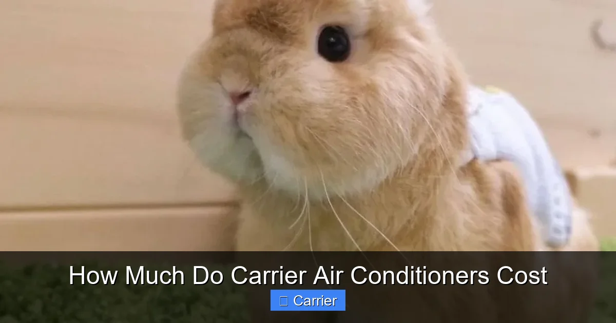How Much Do Carrier Air Conditioners Cost