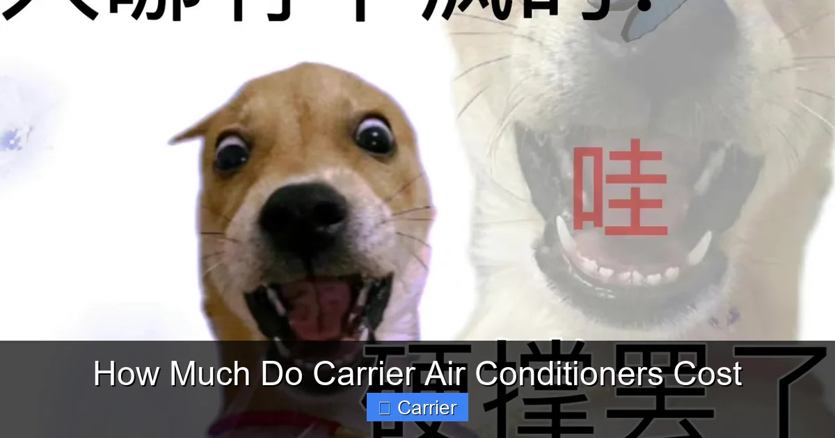 How Much Do Carrier Air Conditioners Cost