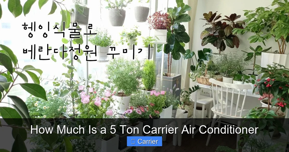 How Much Is a 5 Ton Carrier Air Conditioner