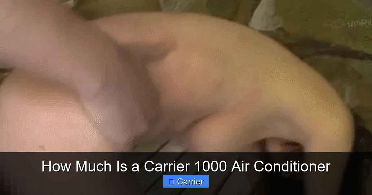 How Much Is a Carrier 1000 Air Conditioner