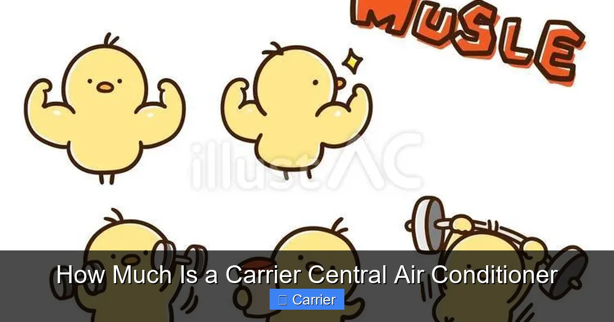 How Much Is a Carrier Central Air Conditioner