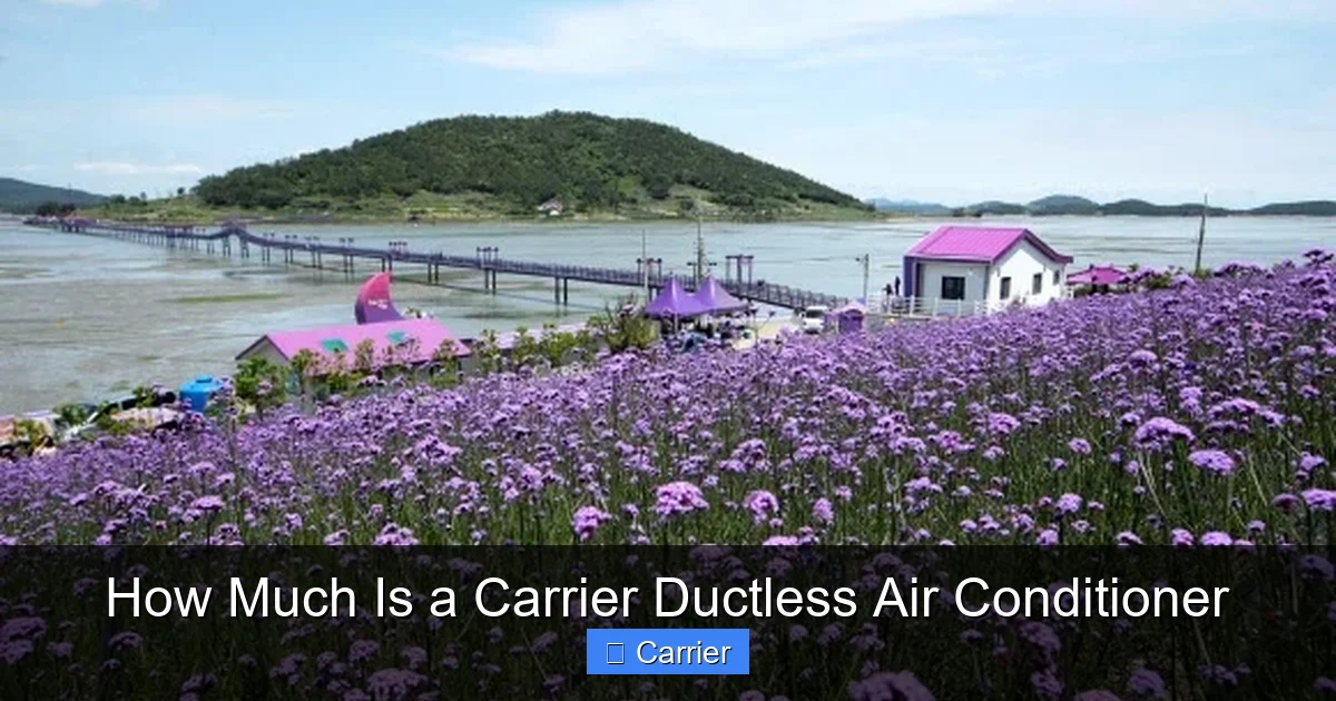 How Much Is a Carrier Ductless Air Conditioner