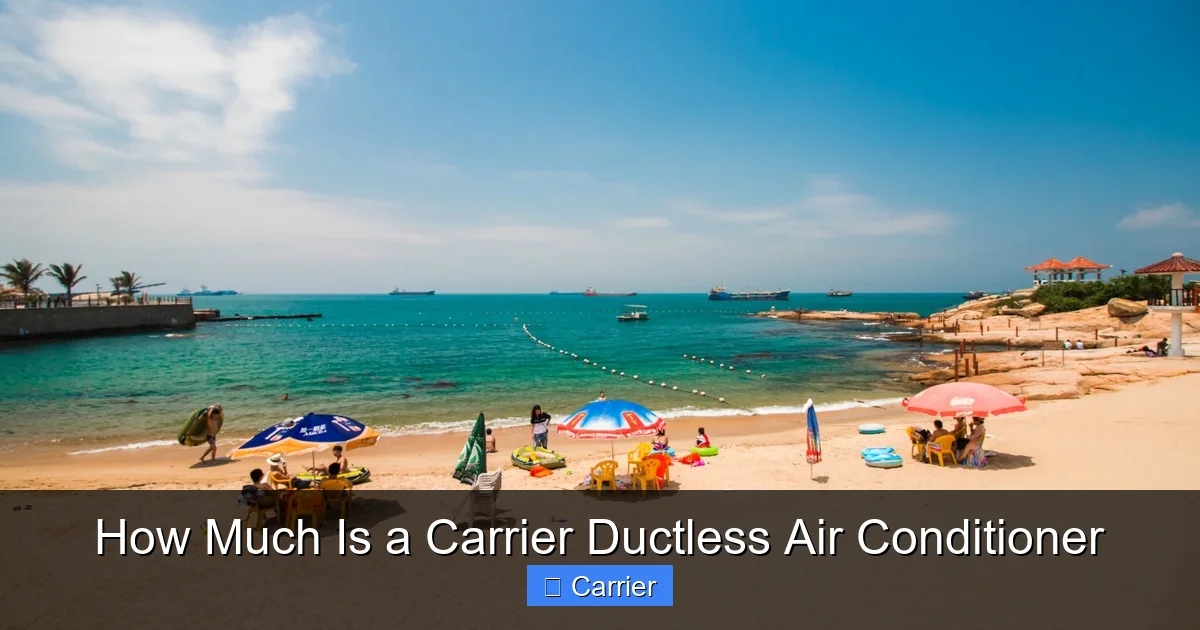 How Much Is a Carrier Ductless Air Conditioner