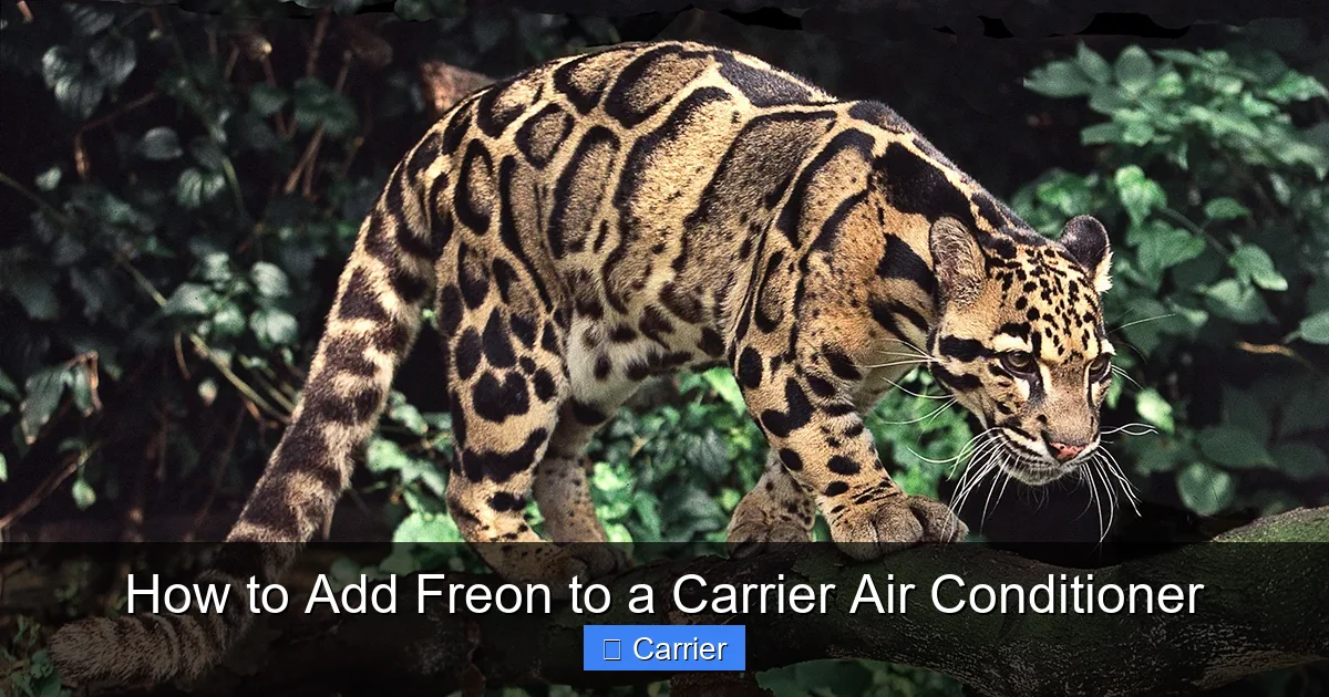How to Add Freon to a Carrier Air Conditioner