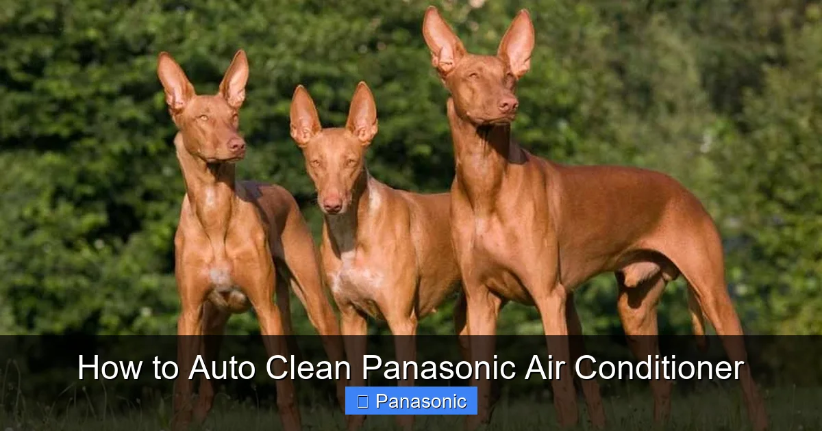 How to Auto Clean Panasonic Air Conditioner