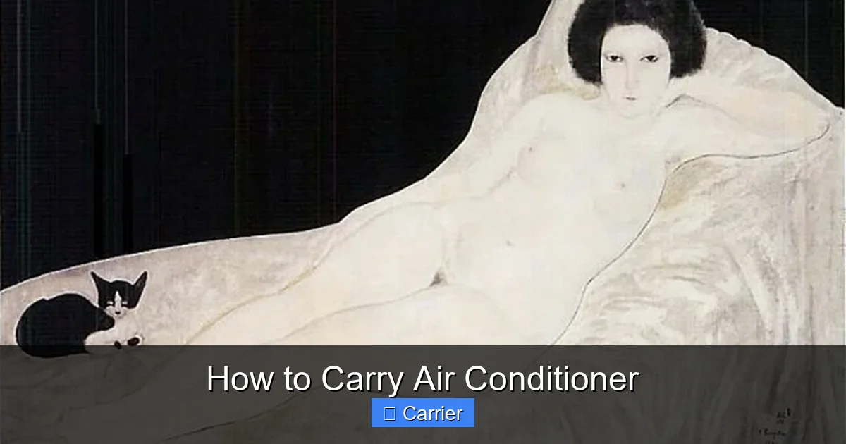 How to Carry Air Conditioner