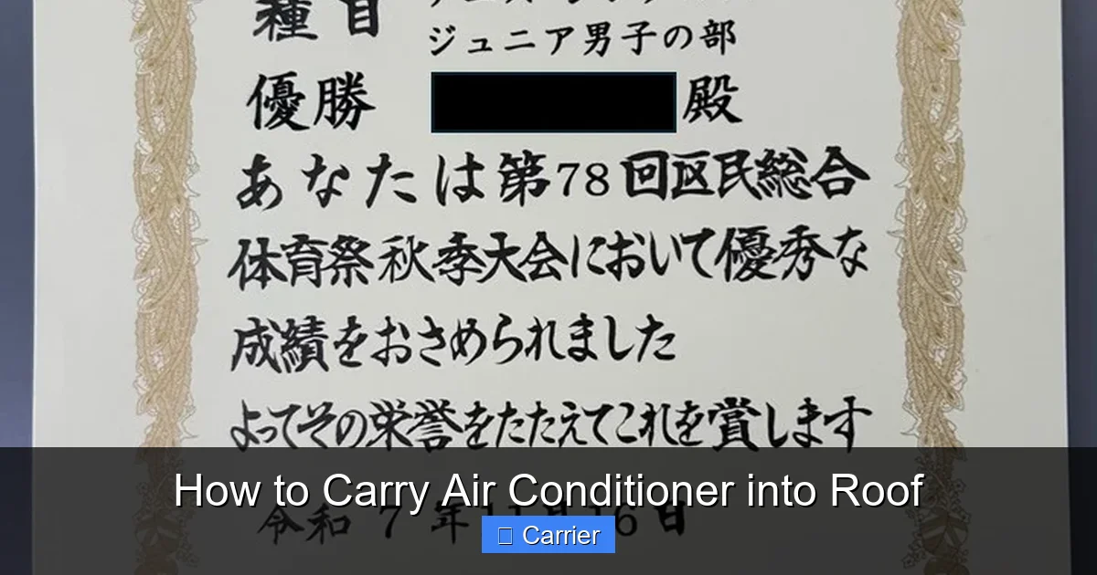 How to Carry Air Conditioner into Roof
