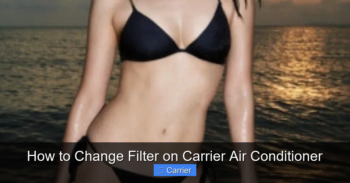 How to Change Filter on Carrier Air Conditioner