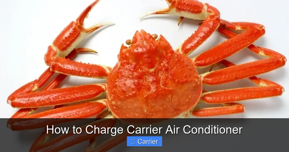 How to Charge Carrier Air Conditioner