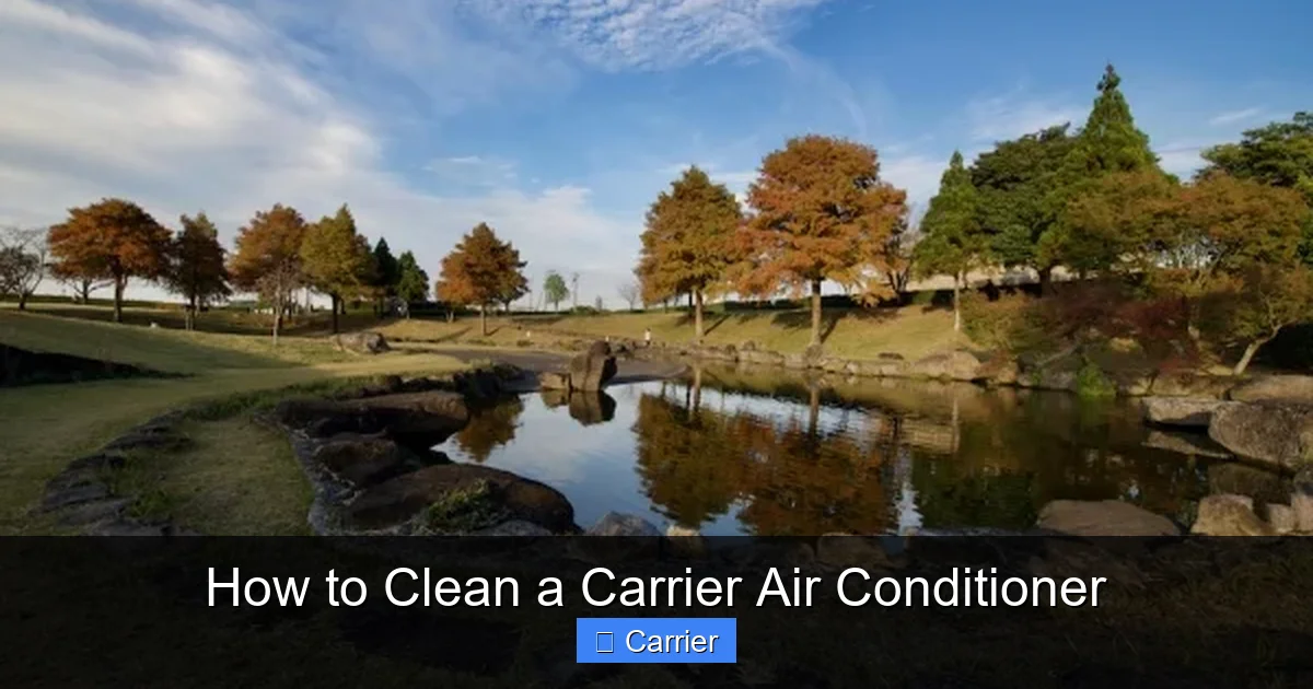 How to Clean a Carrier Air Conditioner