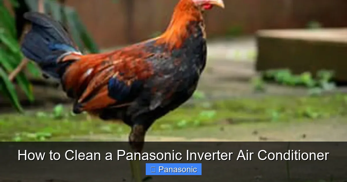 How to Clean a Panasonic Inverter Air Conditioner