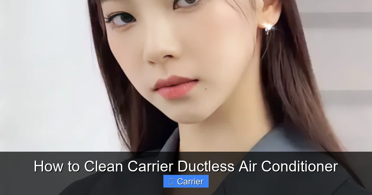 How to Clean Carrier Ductless Air Conditioner