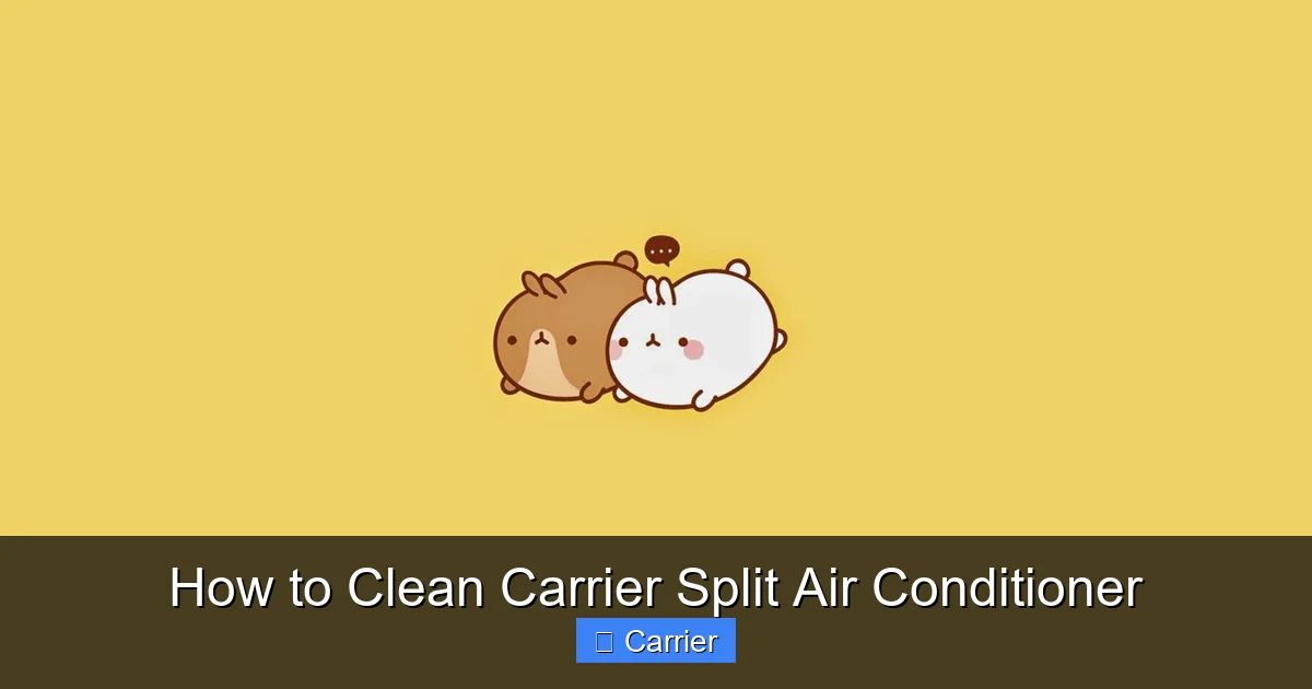 How to Clean Carrier Split Air Conditioner