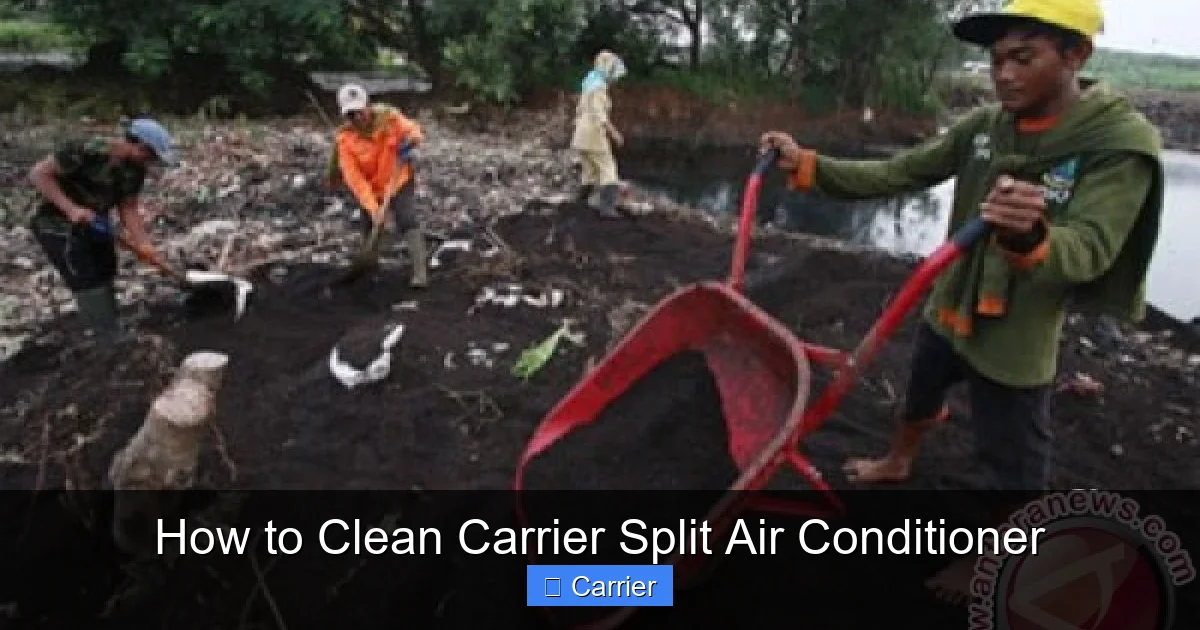 How to Clean Carrier Split Air Conditioner