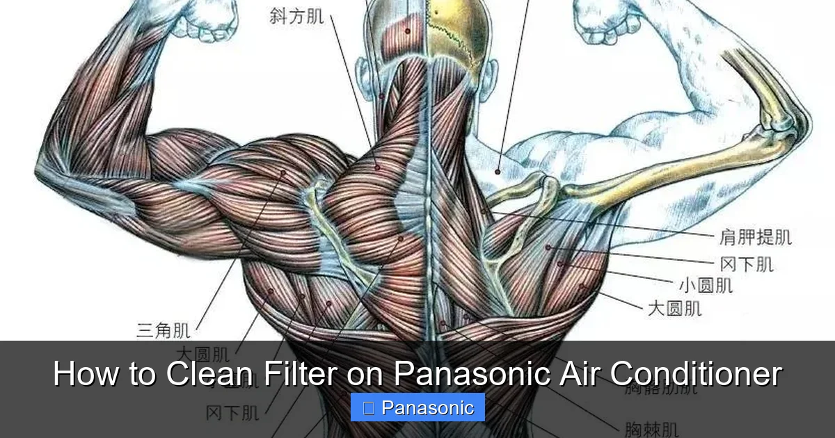 How to Clean Filter on Panasonic Air Conditioner