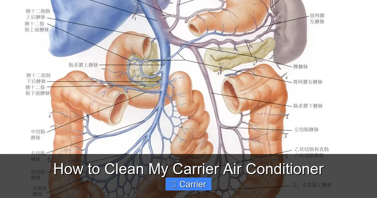 How to Clean My Carrier Air Conditioner