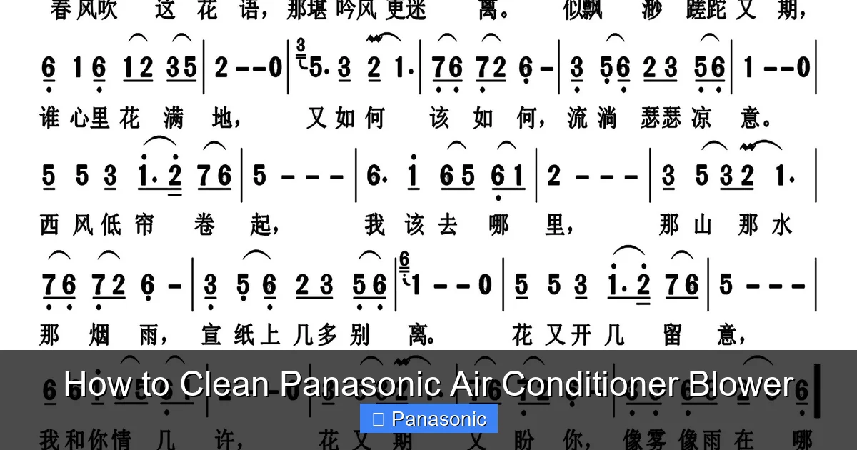 How to Clean Panasonic Air Conditioner Blower