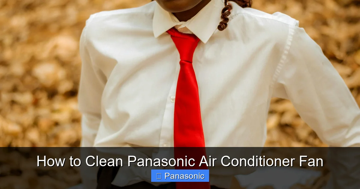 How to Clean Panasonic Air Conditioner Fan