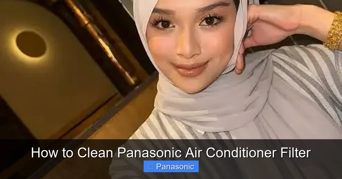 How to Clean Panasonic Air Conditioner Filter