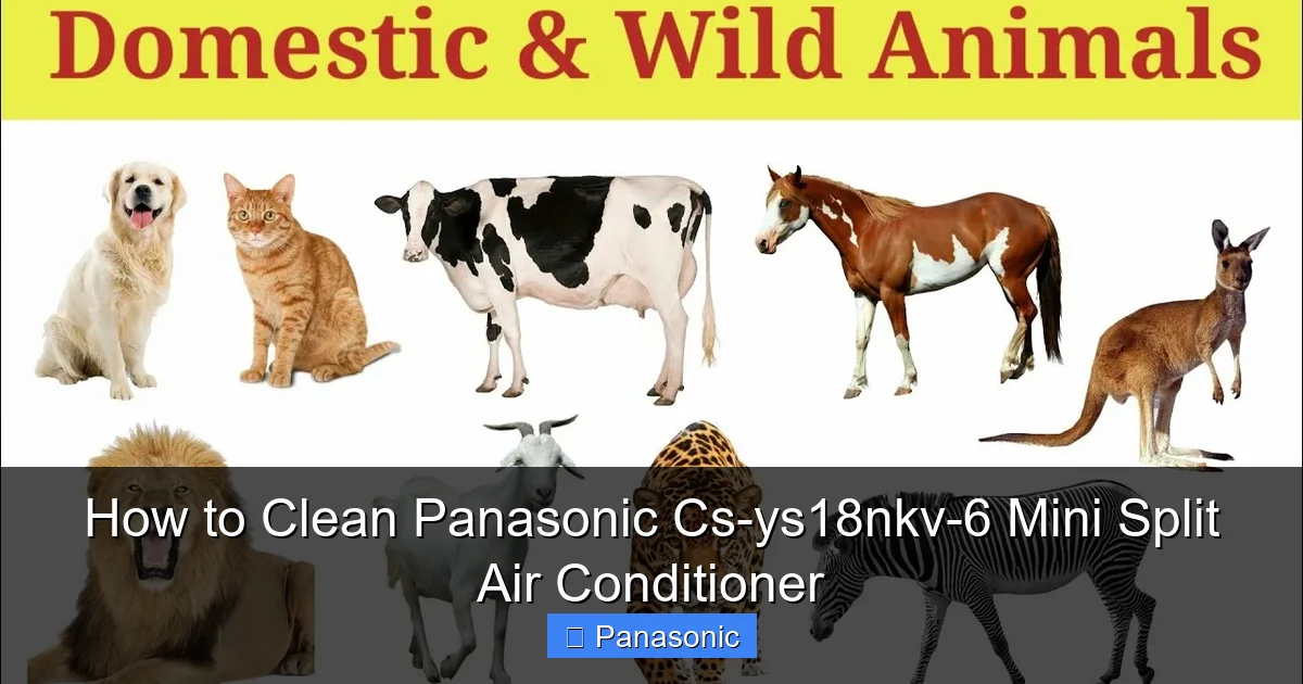 How to Clean Panasonic Cs-ys18nkv-6 Mini Split Air Conditioner