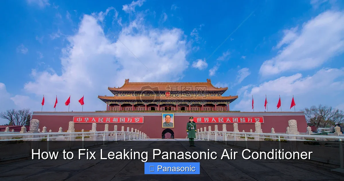 How to Fix Leaking Panasonic Air Conditioner