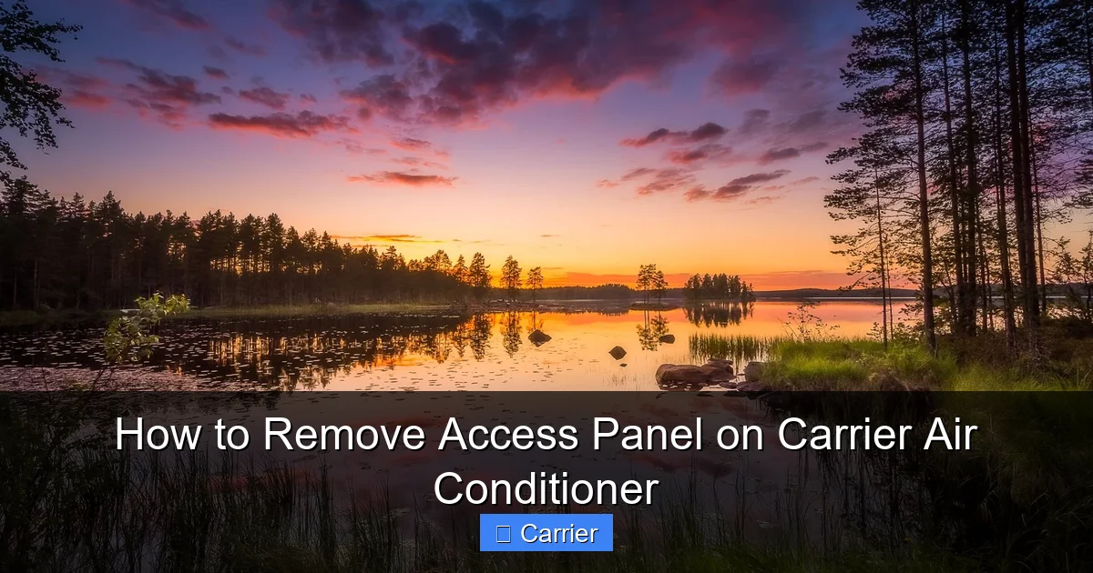 How to Remove Access Panel on Carrier Air Conditioner